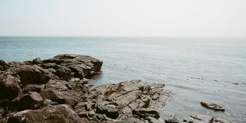 从云端到边缘:揭秘MEC与网络能力开放如何重塑低时延应用生态