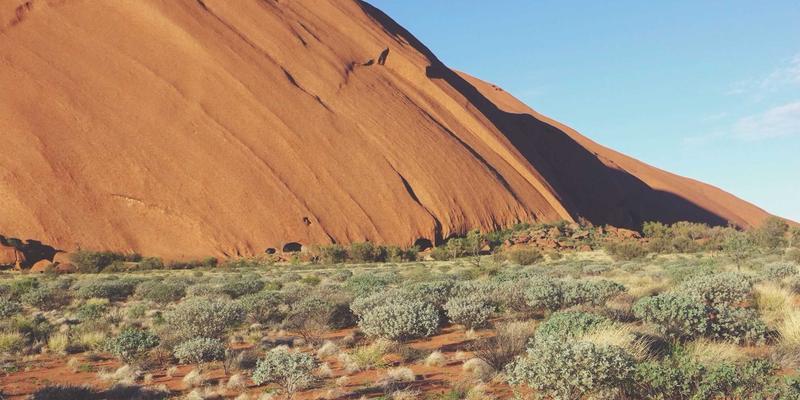 网络自动化运维工具终极指南：如何高效利用IT与学习资源实现技术跃迁