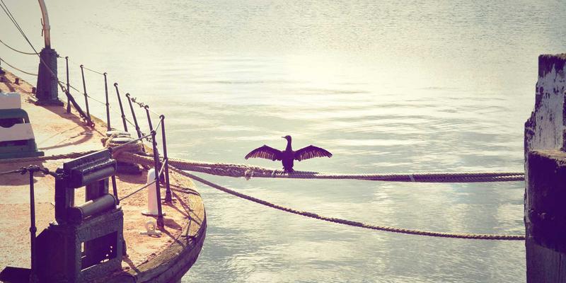 软件定义网络(SDN)如何重塑企业网络架构？解锁高效运维与敏捷创新的IT资源管理新范式